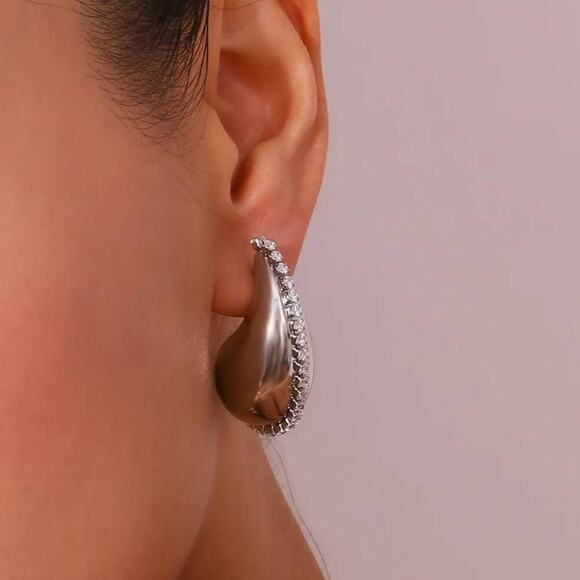 Stainless Steel Water Drop Zircon Earrings - Picture 2 of 9
